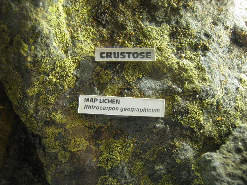 Mt Washington NH 2010 0525.jpg - Mt Washington NH. On May 23 2010 drove the road to the summit. Looked at the views, took some pictures, and drove back down.